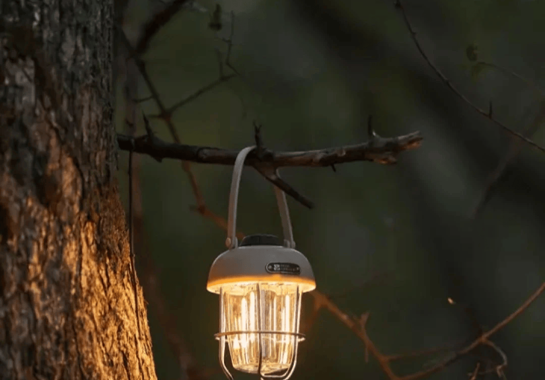 局东南亚跨境露营灯新加坡设计中心开元棋牌网站新加坡商人吕文扬布(图2)